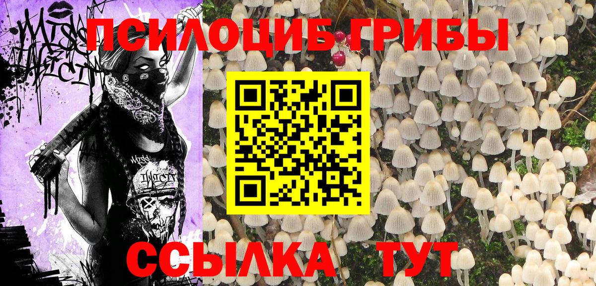 Семёнов  Галлюциногенные грибы Psilocybine cubensis  Вход с VPN  Псилоцибиновые грибы прущие грибы 