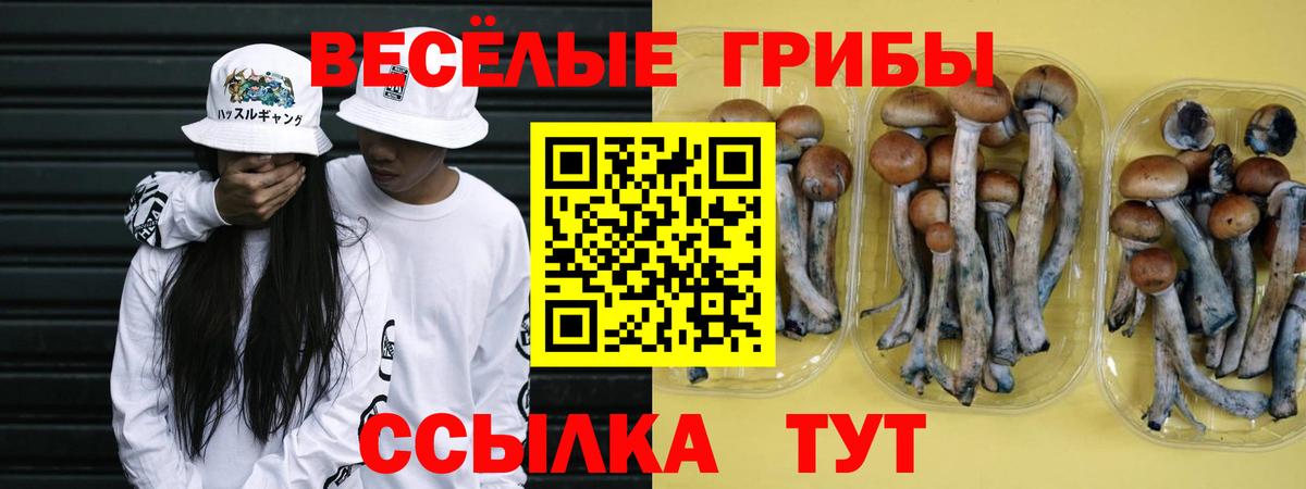 Галлюциногенные грибы Magic Shrooms Семёнов